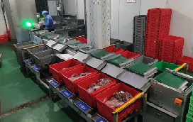 步科助力蘭州首個(gè)“中央廚房”分揀中心落成，賦能食品分揀新模式